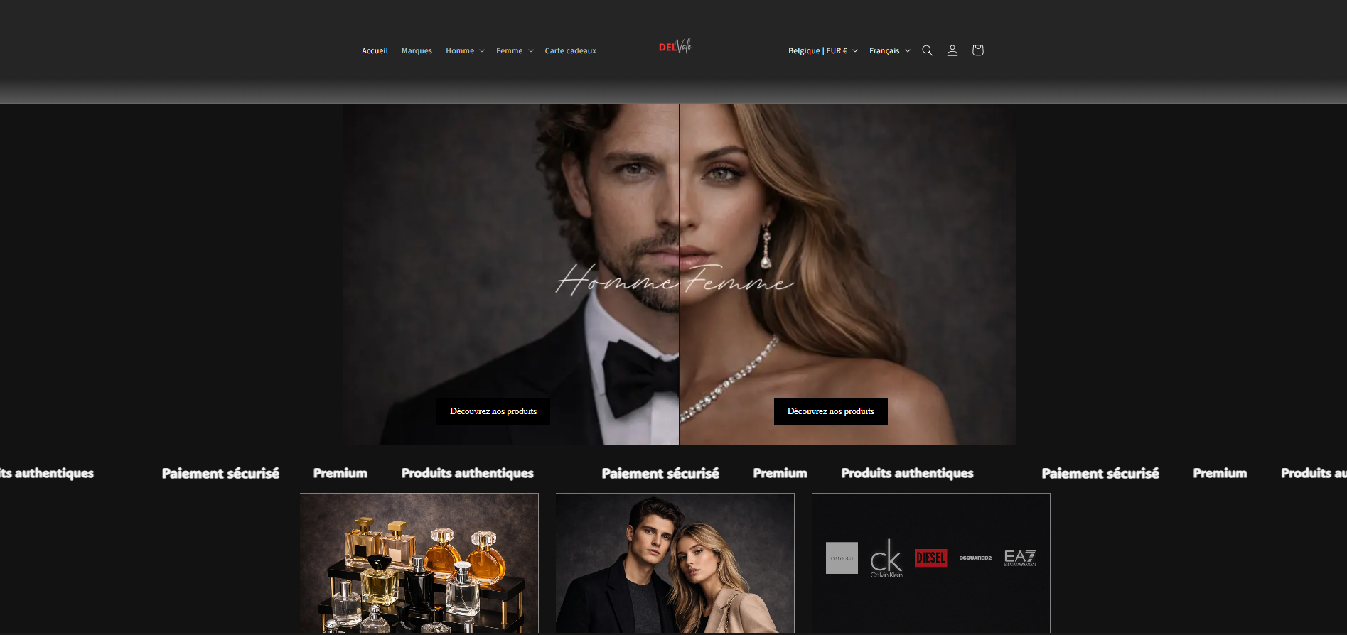 Exemple de site créé par Créopus — Delvale